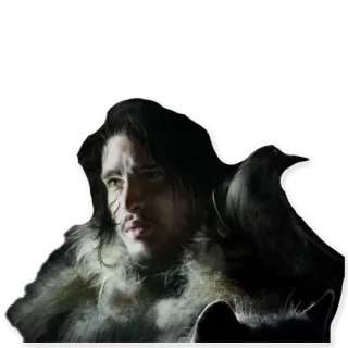 😕 Jon Snow Game of Thrones Fantasia, Game of Thrones, Corvo, Pássaro, Norte, Inverno whatsapp sticker