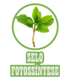 🌱 SELO
FOTOSSINTESE fotosintesis, daun, sains, biologi, tanaman telegram sticker