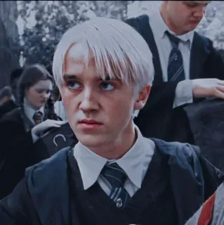 🙄 Draco Malfoy Harry Potter draco malfoy, harry potter, slytherin, estudante, bruxo, uniforme escolar telegram sticker