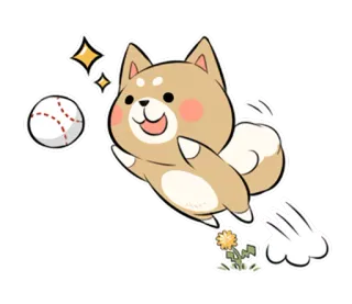 ⚾ собака, сиба ину, бейсбол, спорт, животное, милый, каваий telegram sticker