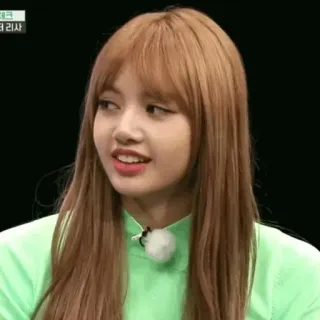 🌿 Lisa kpop, idol, cantor, celebridade, artista, mulher telegram sticker