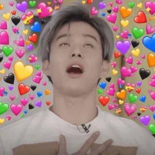🔥 Meme, Corações, Expressão, Amor, Engraçado whatsapp sticker