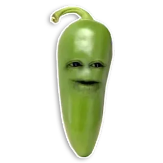 Annoying Orange whatsapp stickers