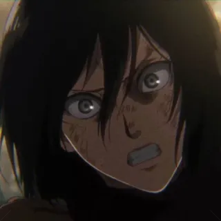 😐 Mikasa Ackerman Attack on Titan Anime, Attack on Titan, Mikasa, Militär, Krieg, Gewalt, Soldat whatsapp sticker