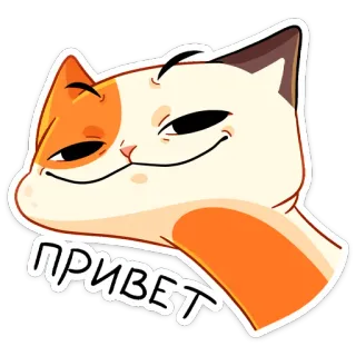 Трич :: @stickroom whatsapp stickers