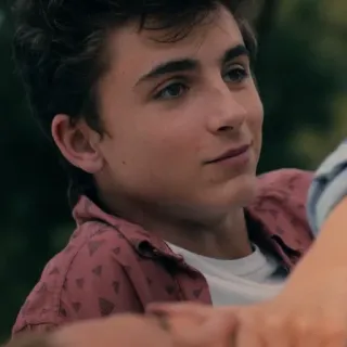 🙃 Timothée Chalamet актер, портрет, знаменитость, молодой человек, Тимоти Шаламе whatsapp sticker
