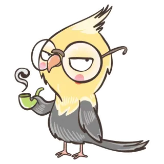 🤓 uccello, calopsitta, occhiali, pipa, carino, cartone animato telegram sticker