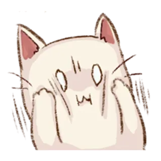 😱 kot, zszokowany, przestraszony, zwierzę, kociak, słodki telegram sticker