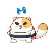 💪 mèo, động vật, cử tạ, tập thể dục, hoạt hình, dễ thương, thể dục telegram sticker