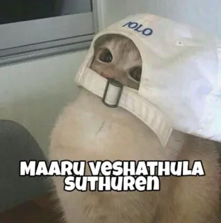 Name thonala telegram stickers