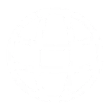 🌐