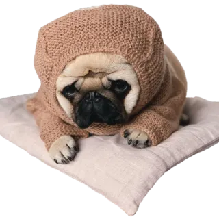@pug_leonid telegram stickers