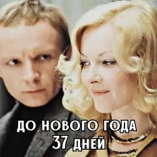 🎄 ДО НОВОГО ГОДА 37 ДНЕЙ nouvel an, compte à rebours, russe, fête, célébration whatsapp sticker