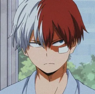 🧸 Shoto Todoroki My Hero Academia 动漫, 漫画, 轰焦冻, 我的英雄学院, 半冷半燃, 英雄 telegram sticker