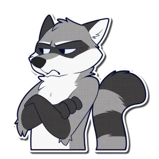 😒 енот, злой, мультфильм, животное whatsapp sticker
