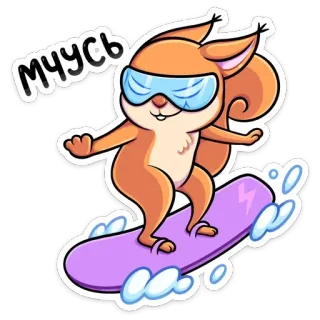 🏂 Мчусь Eichhörnchen, Surfen, Cartoon, Süß, Tier telegram sticker