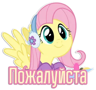 🥺 Fluttershy My Little Pony Пожалуйста cartoon, pony, fluttershy, cute, animal, russian, text telegram sticker