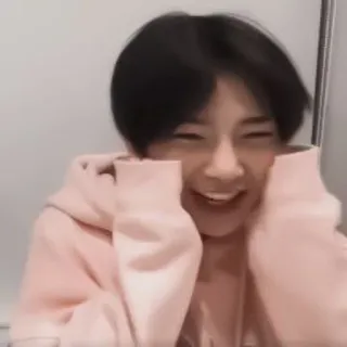 🦊 whatsapp sticker
