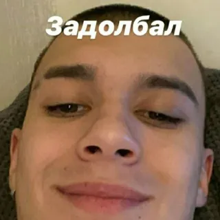 🤙 Задолбал telegram sticker