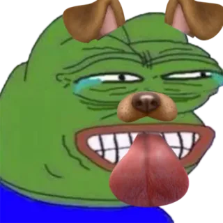 🐸 Pepe the Frog Pepe, o Sapo, Meme, Filtro de cachorro, Meme da internet, Sapo whatsapp sticker
