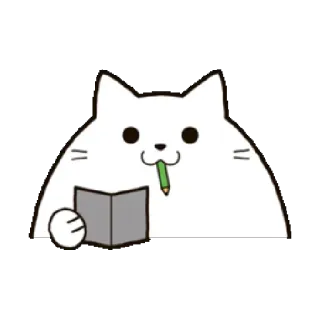🤓 cat, studying, reading, animal, cute, white cat telegram sticker