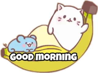 ☀ GOOD MORNING 고양이, 쥐, 바나나, 좋은 아침, 귀여운 telegram sticker