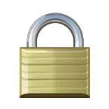 🔒