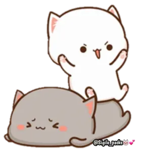 😣 @Sigilo_packs koty, słodkie, urocze, zwierzęta whatsapp sticker