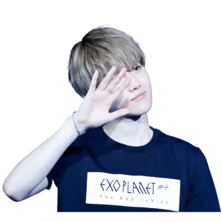 👋 EXO PLANET #2 The Exo'luxion kpop, exo, exo planet, exo'luxion, musique, idole, concert telegram sticker