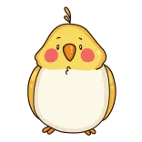 🤗 cartone animato, pulcino, carino, uccello, animale whatsapp sticker