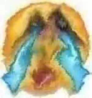 😭 piangere, triste, emoji, lacrime telegram sticker