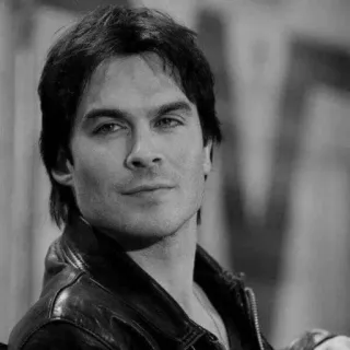 ⚫️ Damon Salvatore The Vampire Diaries ヴァンパイア, ドラマ, ファンタジー, テレビ番組, ハンサム, イアン・サマーホルダー telegram sticker