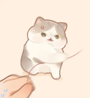 🐱 chat, mignon, autocollant, dessin animé telegram sticker