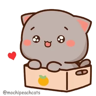 🥺 gato, gatito, lindo, caja, corazón, kawaii, animal telegram sticker
