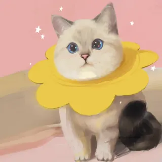 🌟 gato, animal, gatito, lindo, mascota, animal doméstico, collar amarillo, retrato telegram sticker