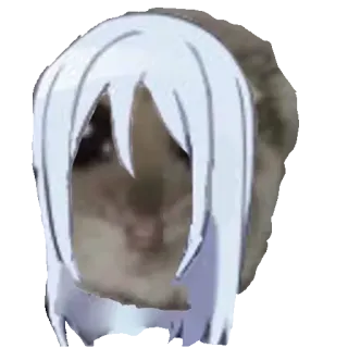 👩‍🦳 Echidna Re:Zero echidna, rezero, sad, hamster, meme, anime, crying, cursed telegram sticker