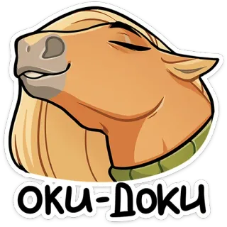 🐴 Оки-Доки ngựa, nhãn dán, hoạt hình, động vật, hài hước, meme whatsapp sticker