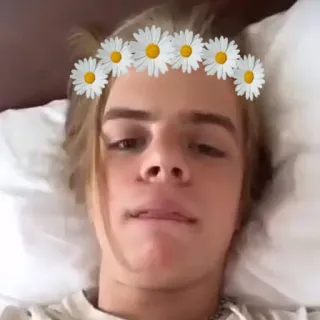 🌼 человек, ромашка, венок из цветов, портрет, блондинка telegram sticker