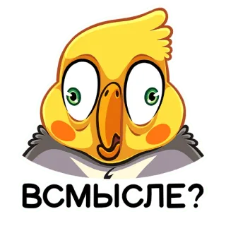 ❓ ВСМЫСЛЕ? Cacatua, Pássaro, Adesivo, Russo, Expressão, Chocado telegram sticker