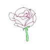 🌹
