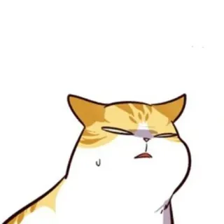 🐈 mèo, động vật, thú cưng, biểu cảm, dễ thương, nhãn dán, hoạt hình telegram sticker