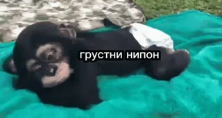 ☹️ грустни нипон Affe, traurig, Meme telegram sticker