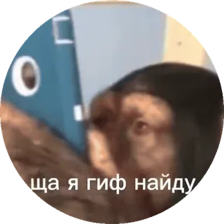 🌟 ща я гиф найду telegram sticker