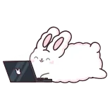 💻 thỏ, thỏ, máy tính xách tay, dễ thương, động vật, làm việc, máy tính telegram sticker