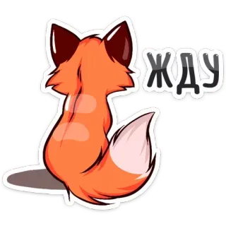 ⏰ ЖДУ лиса, животное, ожидание, наклейка, милый, оранжевый telegram sticker