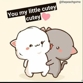 😝 You my little cutey cutey cat, cute, love, heart, cartoon, adorable, animals whatsapp sticker