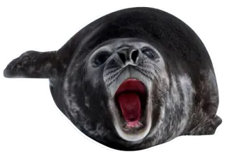 sealsseals telegram stickers