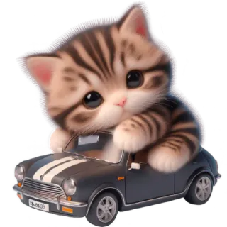 🛻 고양이, 새끼 고양이, 자동차, 귀여운, 사랑스러운, 애완 동물, 동물 telegram sticker