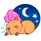 😴 capybara, sleeping, cartoon, animal, cute, night telegram sticker
