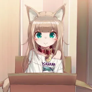 🐾 SAKANA Аниме, Девушка-кошка, Милый, Иллюстрация, Коробка, Каваий, Манга, Сакана telegram sticker